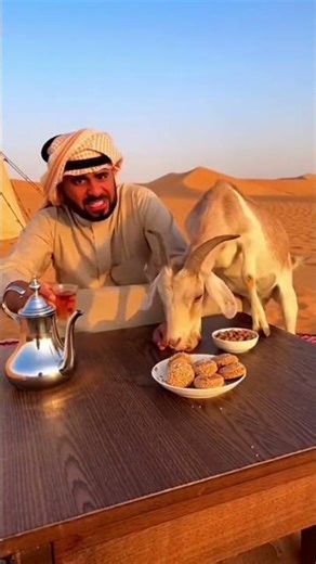 men vs goat funny video