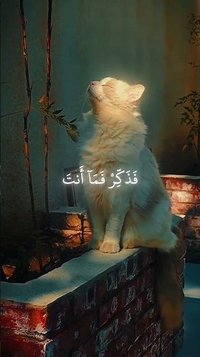 Surah At-Tur #recitation #quran #cat