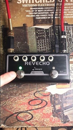 Donner RevEcho #PedalDemo [1/3] #effectspedals #guitarpedals #guitar #delay #reverb #fender #donner