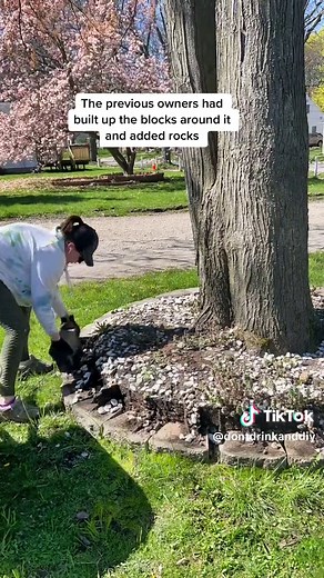 Landscaping and Pool Makeover: Rocks Around Tree and Pool
