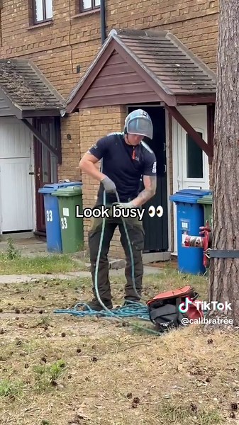 Calibratree on TikTok