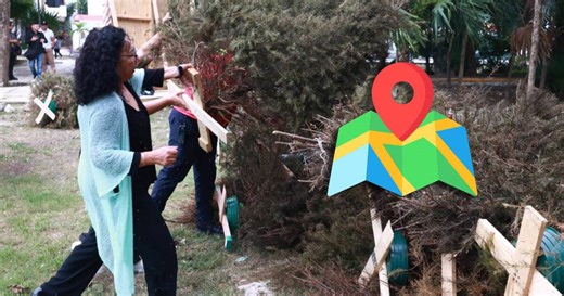 ¿Dónde tirar mi árbol de Navidad en Cancún?  Ubica el centro de acopio más cercano aquí