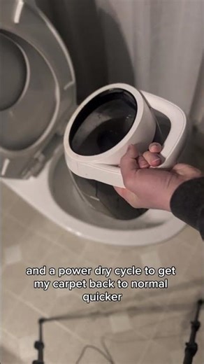 Deep Cleaning My Carpet with a Shampooer | Home Cleaning Test