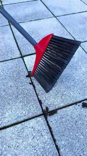 The DIY way of removing moss🧹