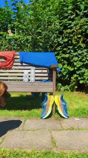 4 comments | We spill the beans  1. Trail running shoes Good shoes...