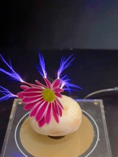 Captivating Science Experiment Revealed in Part 268