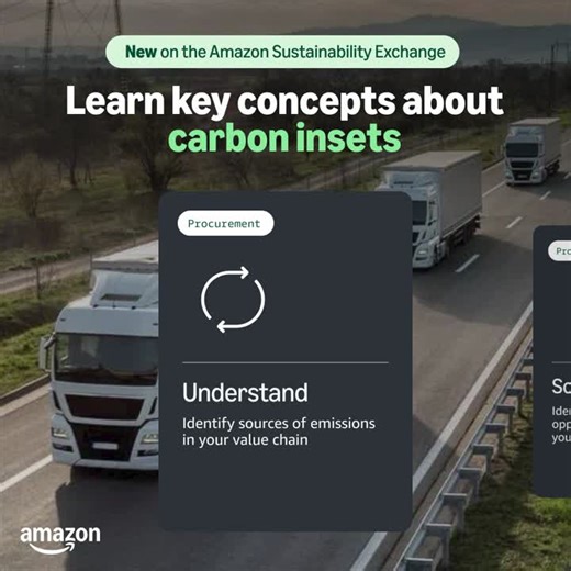 New Carbon Insets focus area on Amazon Sustainability Exchange | Kerry Constabile posted on the topic | LinkedIn