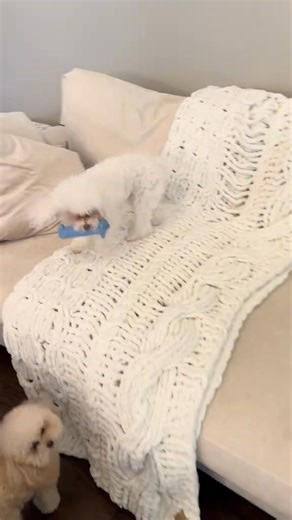 Nala at the end “Oo you bout to get it” | Stephanie Parker