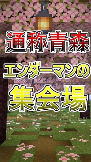 【マイクラ】エンダーマン集めは“ゆがんだ森”が最効率！