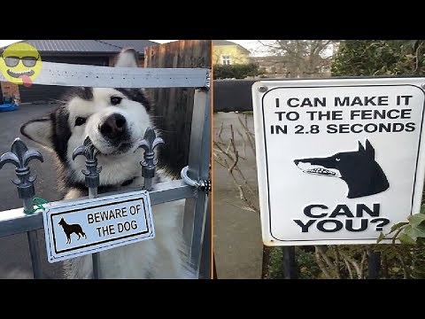 Beware Of Dog Signs That Will Make You Laugh