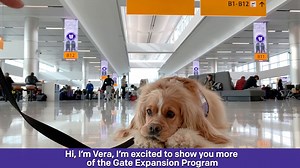 2.1K views · 100 reactions | Even more new gates are coming to DEN...