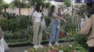 16ª edición de ‘Flor de ciudad’ en Paysandú convocó a productores y viveristas