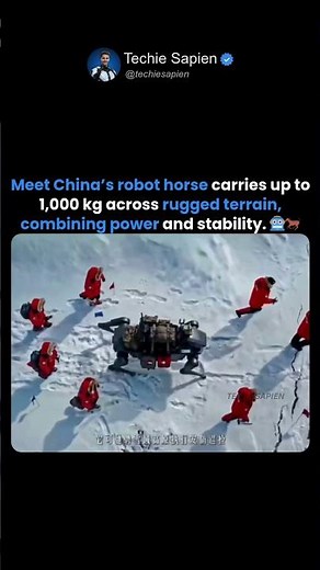 China’s Robot Horse Can Carry 1000kg — The Future of Heavy-Duty AI Machines is Here 🤖🐎