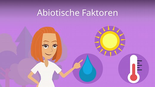 Abiotische Faktoren • Definition, Tabelle, Umweltfaktoren