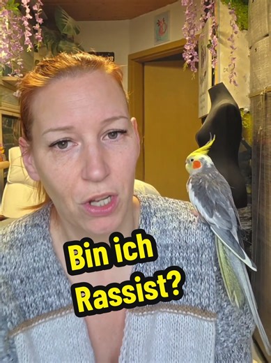 Bin ich ein Rassist, nur weil ich sage, dass ich ungern Vögel an Menschen mit südländischem Hintergrund vermittle? Ich habe nichts gegen Ausländer. Gar nichts. Es geht mir nicht um Herkunft, Hautfarbe oder Religion. Es geht um Verantwortung für Tiere. In den letzten Jahren habe ich sehr viele Vögel aus schlechter Haltung übernommen. Und ja: Ein großer Teil – nach meiner Erfahrung weit über die Hälfte – kam aus Familien mit südländischem kulturellem Hintergrund. Das ist keine pauschale Verurteilu