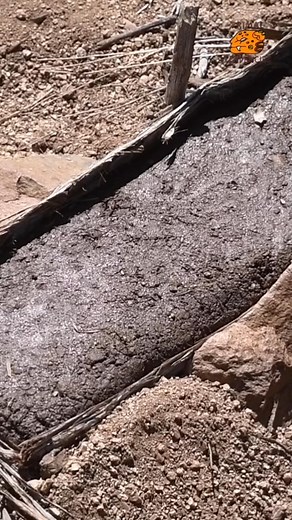 15K views · 465 reactions | How To Build a Winter Survival Shelter in the Desert #shelter #wintershelter #caveman #outdoorliving #outdooradventures | Chad Zuber | Facebook