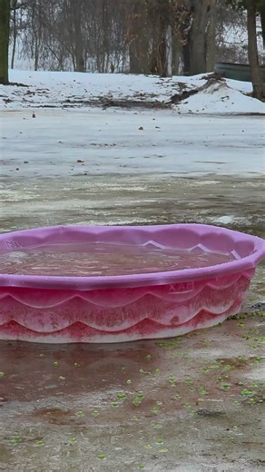 Sometimes all you Need is a Bath #minnesota #oddlysatisfying #animalasmr #duck #splash