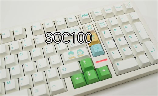 【@801】SCC100 | 离谱的价格 | 超性价比工具