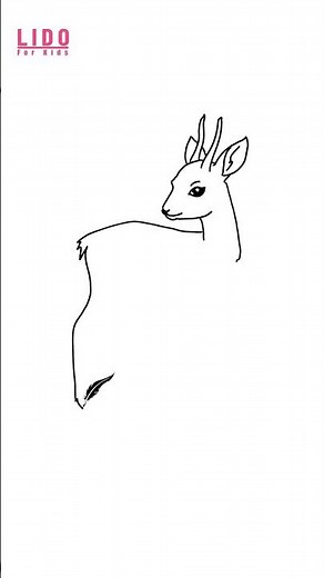 How to draw ROE DEER Easy Cute Drawing Tutorial for Kids & Beginners Step by Step Short #lidoartw