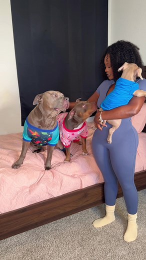 Morning Routine with Three Adorable Dogs