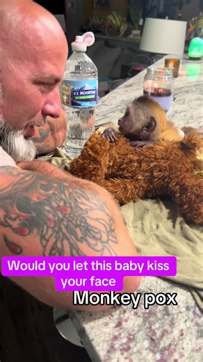 Adorable Baby Monkey Interaction Captured on Video