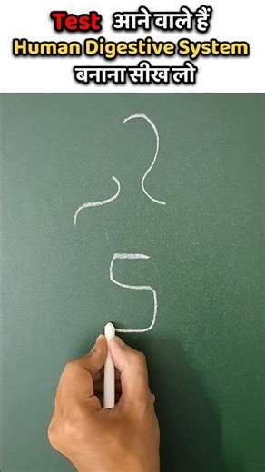 2 aur 5 number se digestive system drawing #digestive #digestivesystem #humandigestivesystem #shorts
