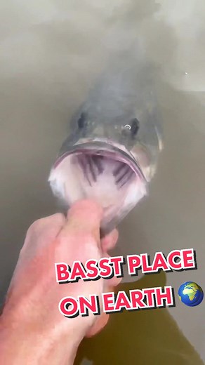 AngelnMaximal on TikTok