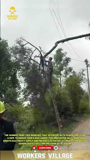 worker trims tree branches that interfere with power lines using a safe technique from a high ladder