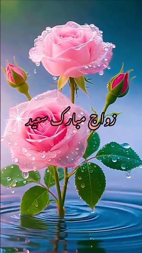 أجمل تهنئة زواج💍 أجمل تهنئه للعرسان🌹زواج مبارك سعيد ❤️ #زواج #تهنئة_بالزواج