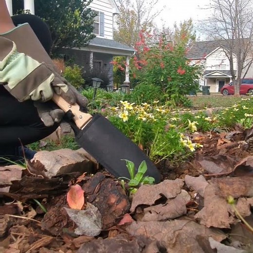 Digging plants like a pro with your Hori Hori knife!