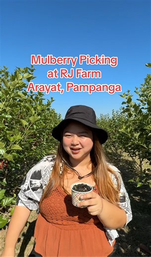 1.3M views · 9.2K reactions | What to do in Pampanga?? Tara, Mulberry Picking Tayo sa RJ FARM!! | Cabalen Foodie | Facebook