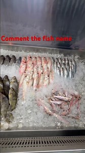 Fresh fish display ‪@Ajayblog2026‬