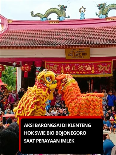Melihat Aksi barongsai di Klenteng Hok Swie Bio, di Jalan Jaksa Agung Suprapto Kota Bojonegoro selasa pagi (17/2), saat perayaan hari raya Imlek. #bojonegoro #beritabojonegoro #bojonegorotv #imlek