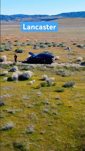 Super Bloom in Antelope Valley Lancaster California