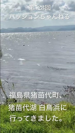 #福島県 #猪苗代町 #白鳥浜 #猪苗代湖 #観光スポット #旅行動画 #一人旅 #travel #福島観光 #Fukushima #東北地方 #磐梯山ジオパーク #磐梯高原 #shorts