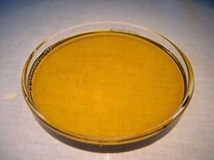 Neem oil - Wikipedia Republished // WIKI 2