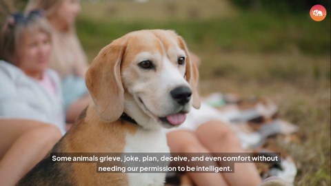 These Animals Act Shockingly Human!😲