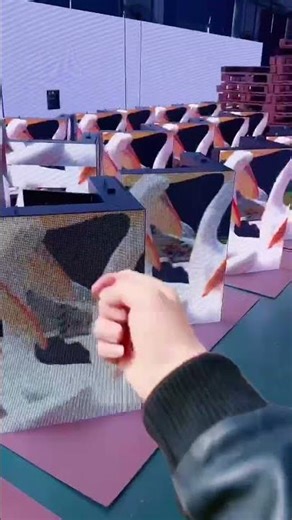 Different LED, Different Impact — A Quick Look at Real Visual Performance