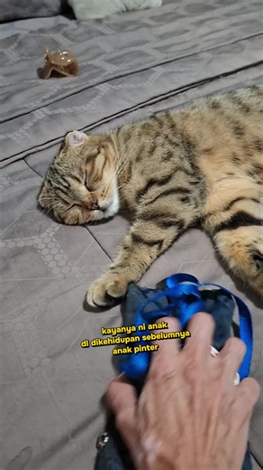 Menimba Air ke Ember Bocor? Cara Mengatasi Ember Bocor dan Pelajaran Hidup