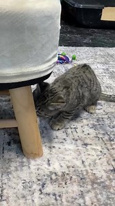 35K views · 4.5K reactions | Its (almost) $5 Friday! These two...