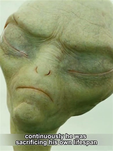 When They Hit A Bird And The Alien Ate It | Paul