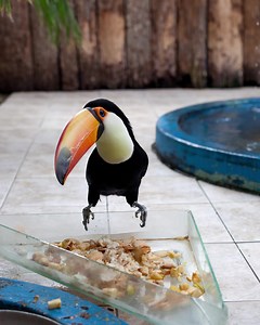 2.2K views · 98 reactions | Don't miss one of New York magazine's "Best New York Art Shows of 2022." Wolfgang Tillmans—on view through Jan 1 | MoMA The Museum of Modern Art | Facebook