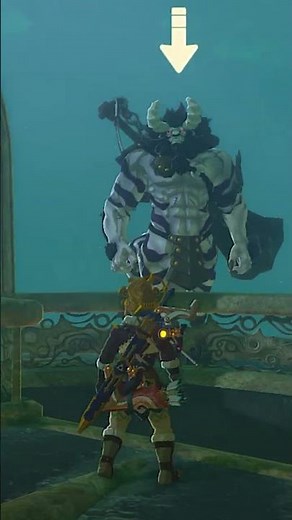You can TAME a Lynel?!?!