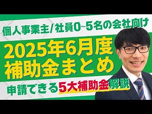個人事業主、小規模企業必見！2025年6月に申請できる5大補助金を一気に解説【IT導入/持続化/ものづくり/新事業進出/省エネ】