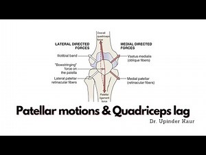 Patellar motions and Quadriceps lag