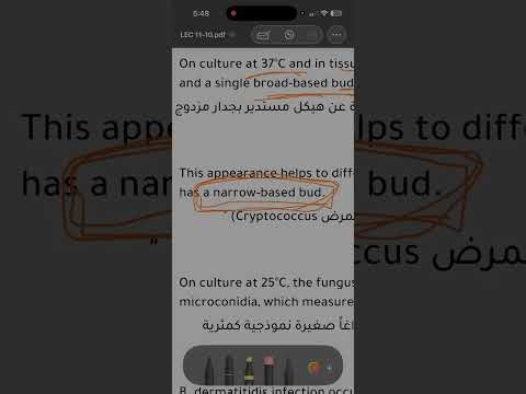 شرح فطريات LEC 10 تحليلات مرحله ثانيه