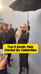 Top 5 exotic pets owned by celebrities celebrities actors hollywood pets exotic | The Front Force