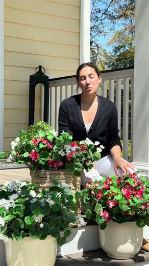 Realistic Artificial Geranium Flowers for Outside (No Maintenance!) 🌸✨