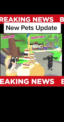 CLICK&COLLECT on TikTok