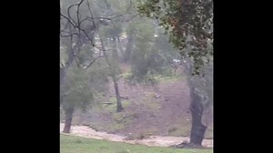 Paso Robles wine country under water | Latest Weather Clips | FOX Weather